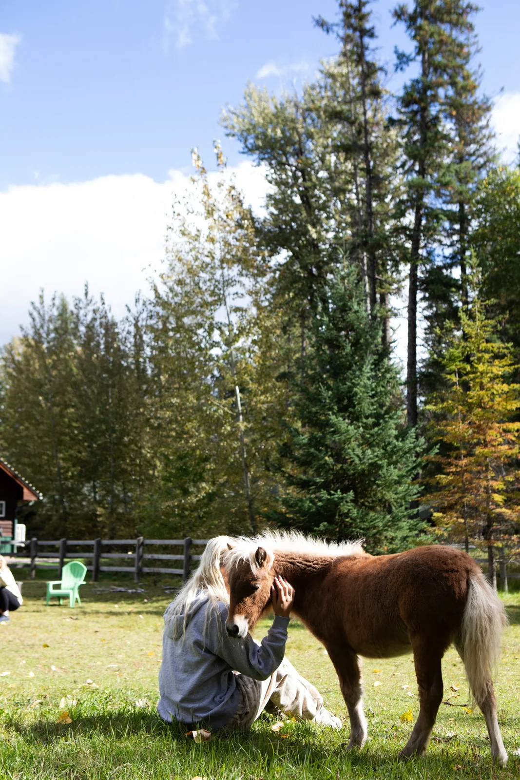 A guest sharing a moment with a miniature horse