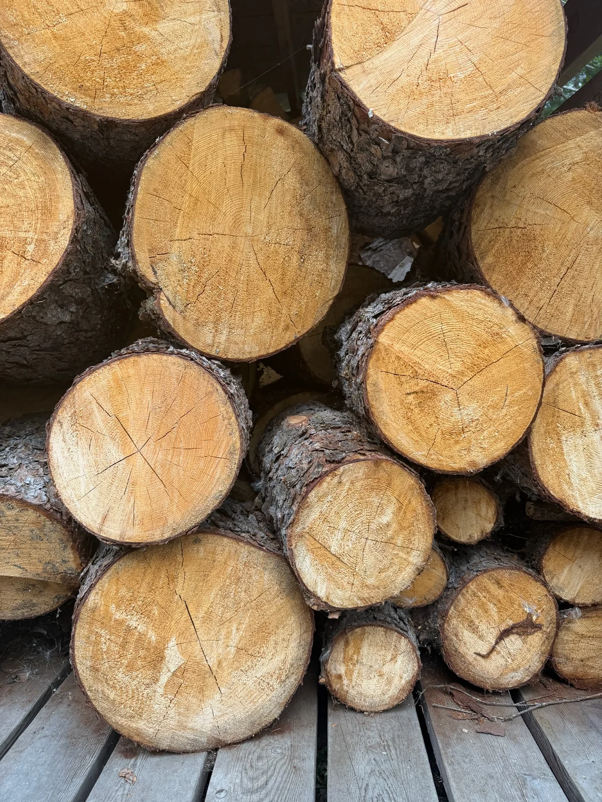 Cut firewood stacked beside a timber wall